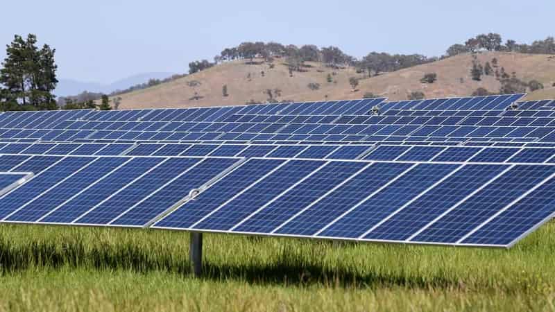 Renewable land grab leaves prime paddocks in production