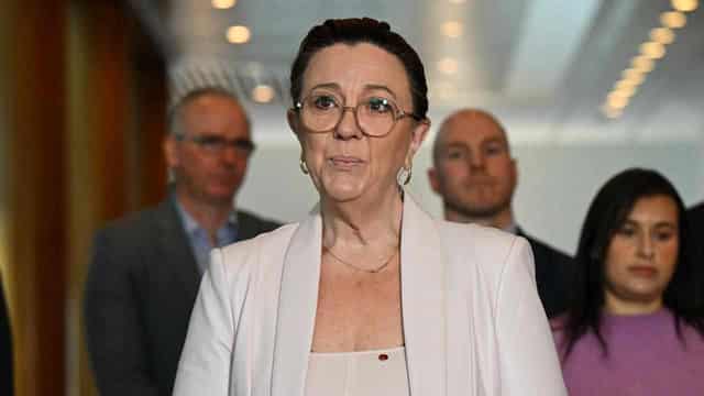 'Go it alone': Lambie's Senate colleague quits party