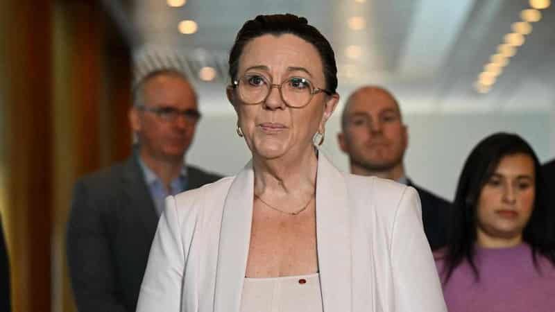 'Go it alone': Lambie's Senate colleague quits party