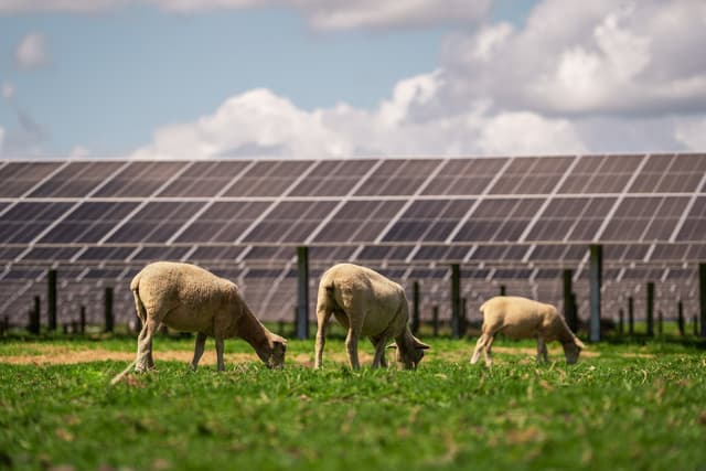 Trina Solar Powers New Zealand's Largest Solar Farm with Integrated Module-Tracker Solution