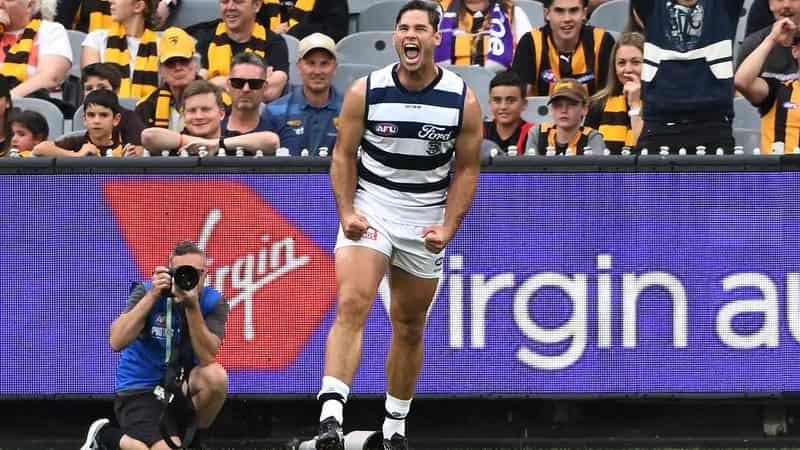 Hawkins lights up MCG as Cats beat Hawks