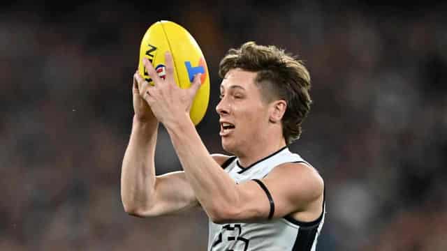 Fogarty given one-match AFL ban for Fyfe strike