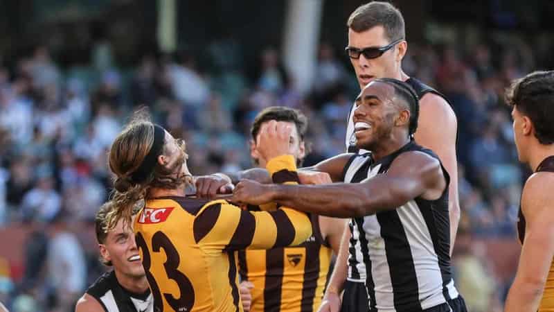 Pies withstand Hawks challenge in Gather Round thriller