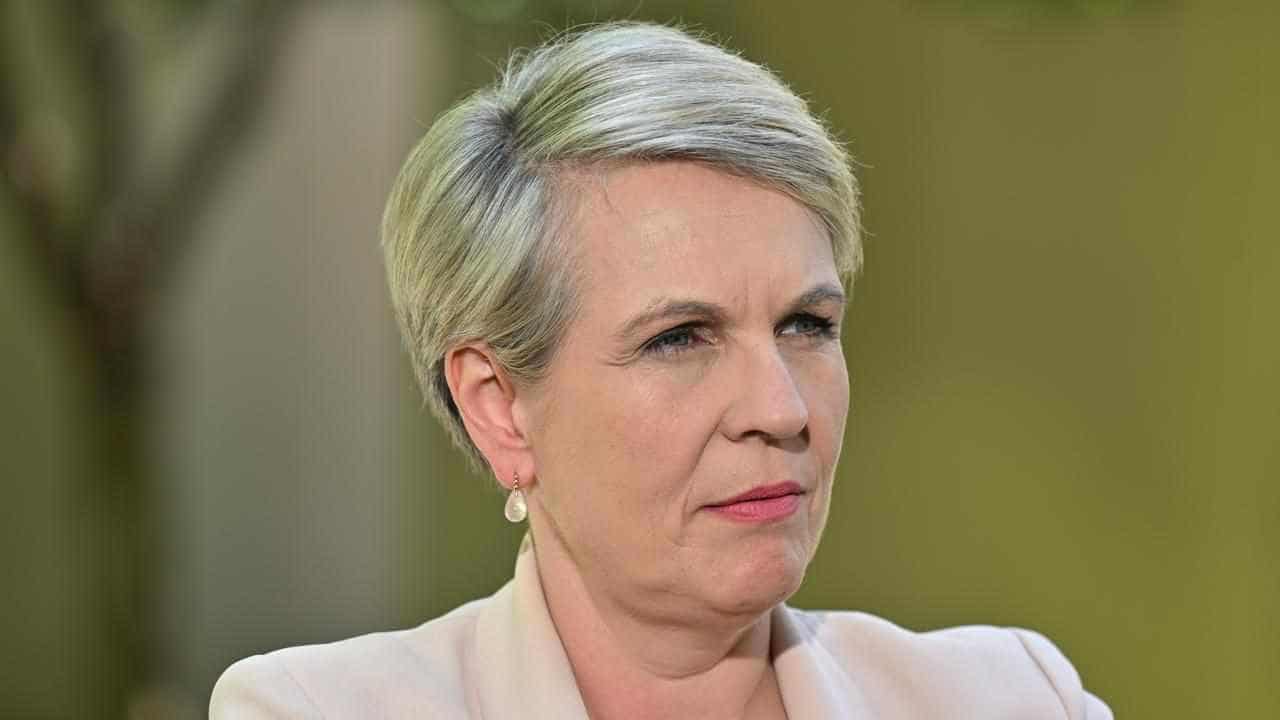 Plibersek rejects wetlands project in draft decision