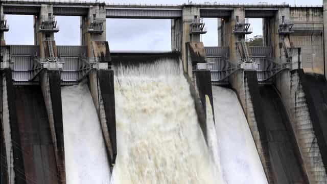 Winds after saturating rain threaten to topple trees