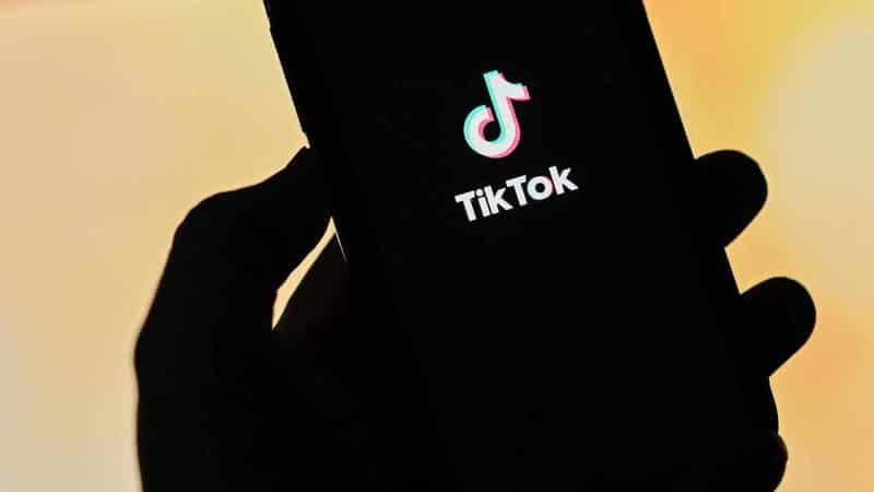 TikTok says it boosts economy by $1.1b amid ban threat