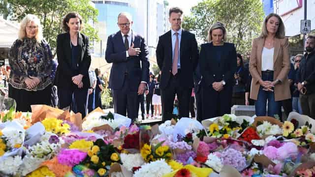 'Instinctive bravery': Shoppers praised in Bondi attack