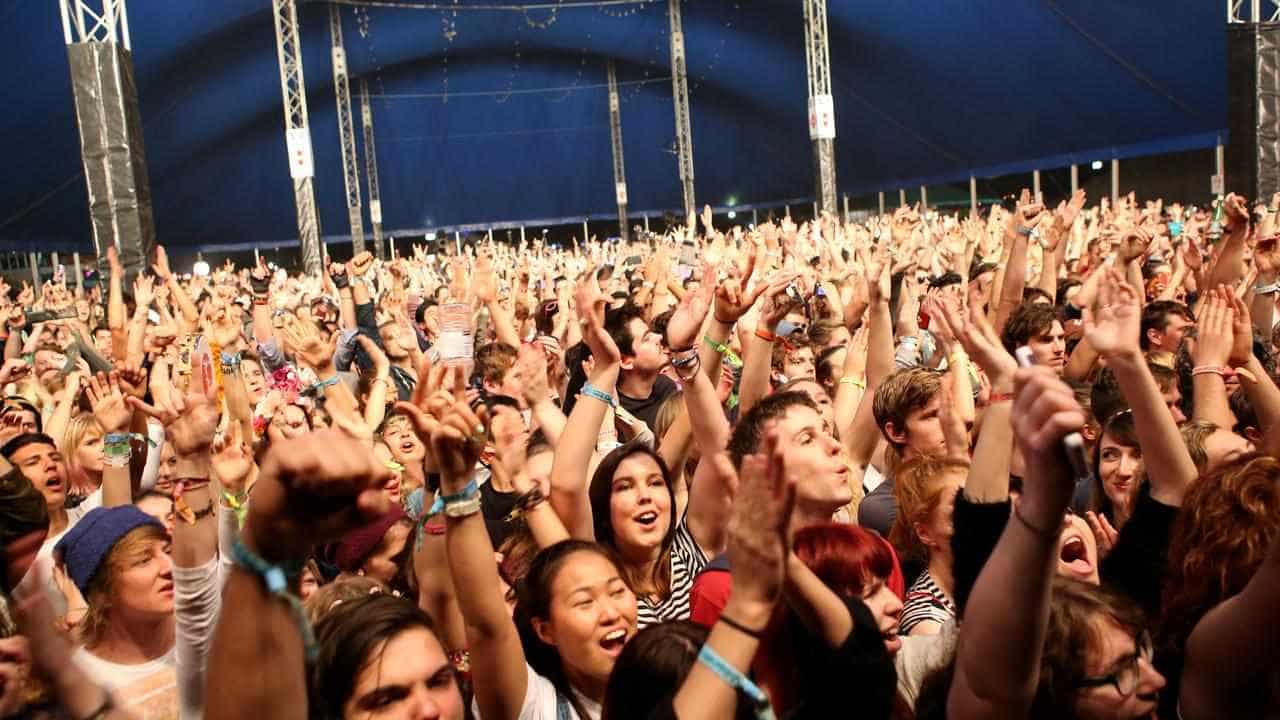 Music festivals hit by 'perfect storm': inquiry told