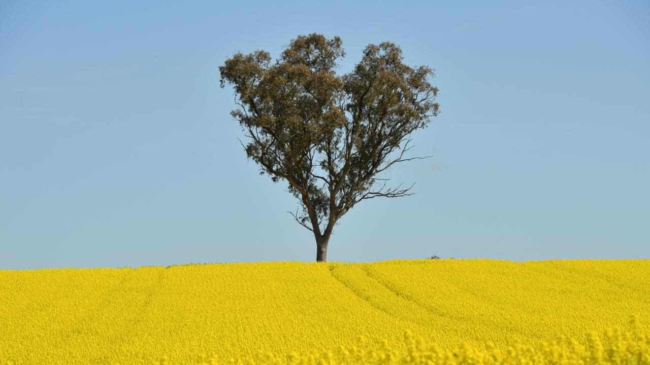 Climate change differences for farmers by state