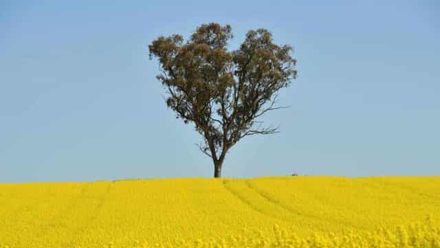 Climate change differences for farmers by state