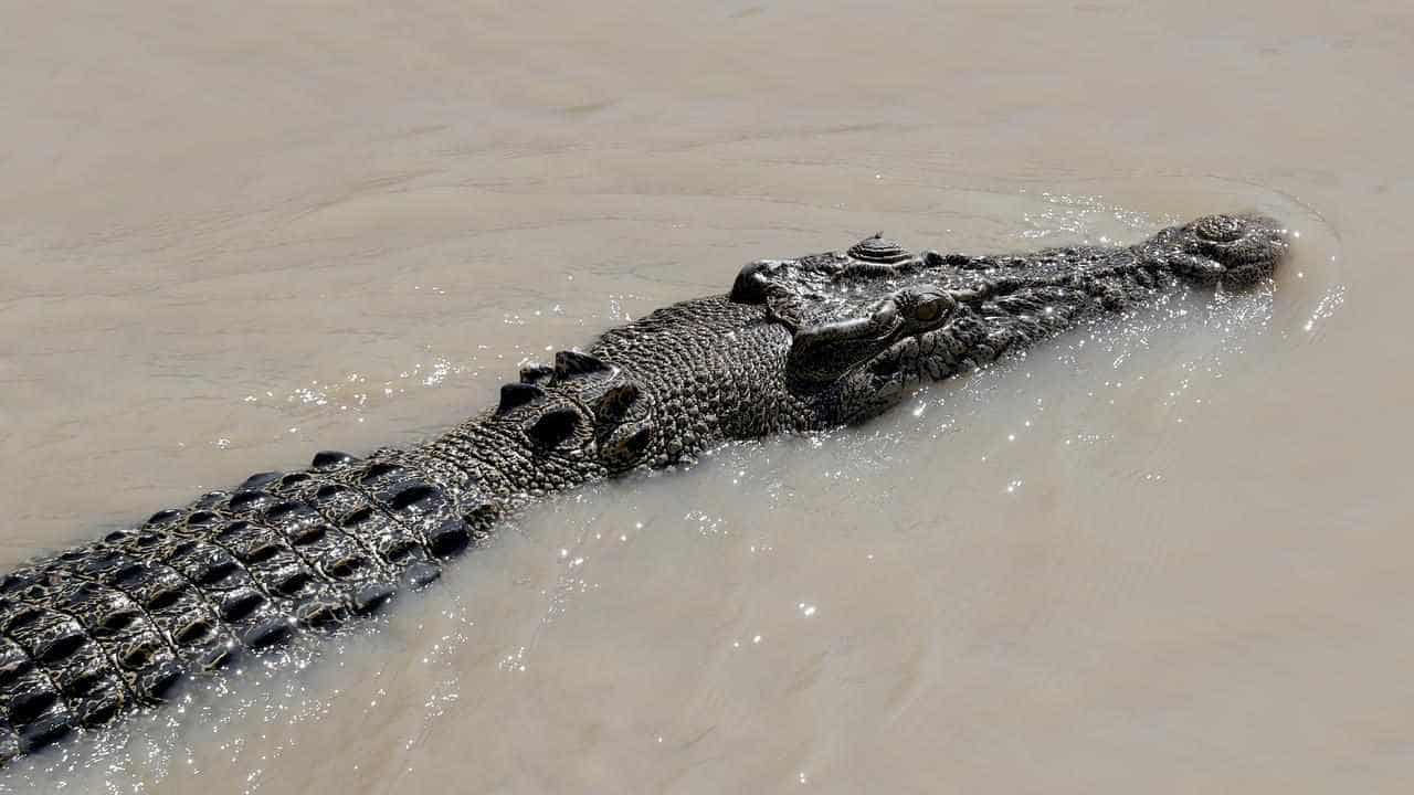 Teen's body found mauled by croc after dinghy sinks