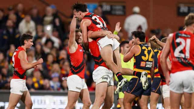 Essendon's Martin strikes late to sink Crows