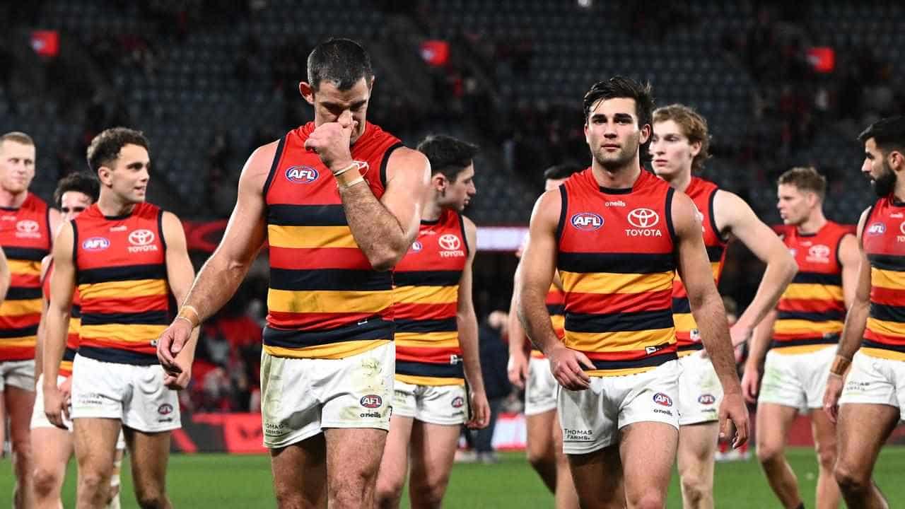 AFL admits to umpire error in not penalising Draper