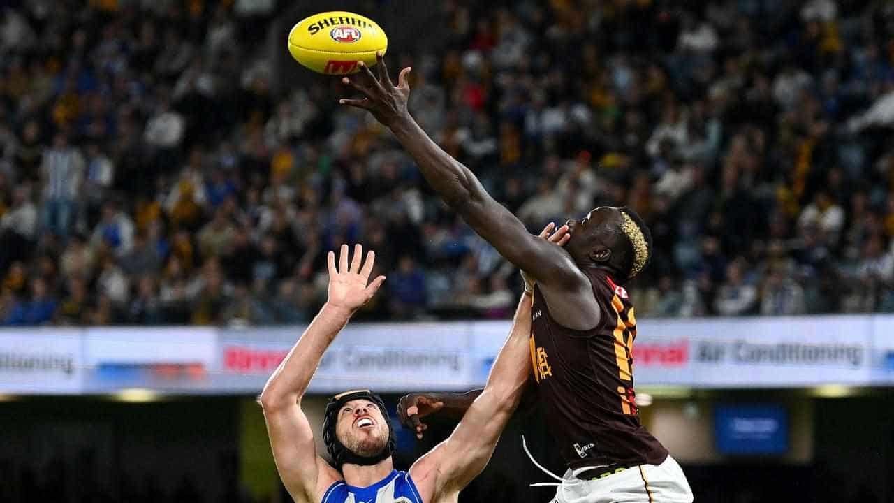 Hardy Hawks break drought against lowly Kangaroos