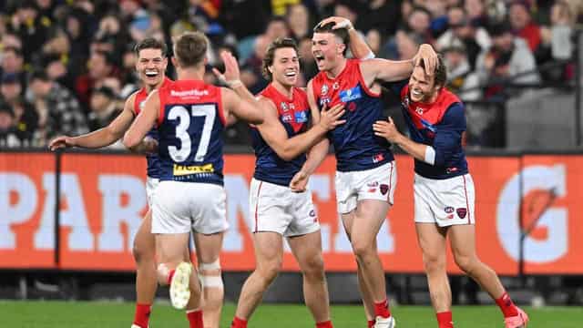 Unlikely hero Turner steers Demons past Richmond