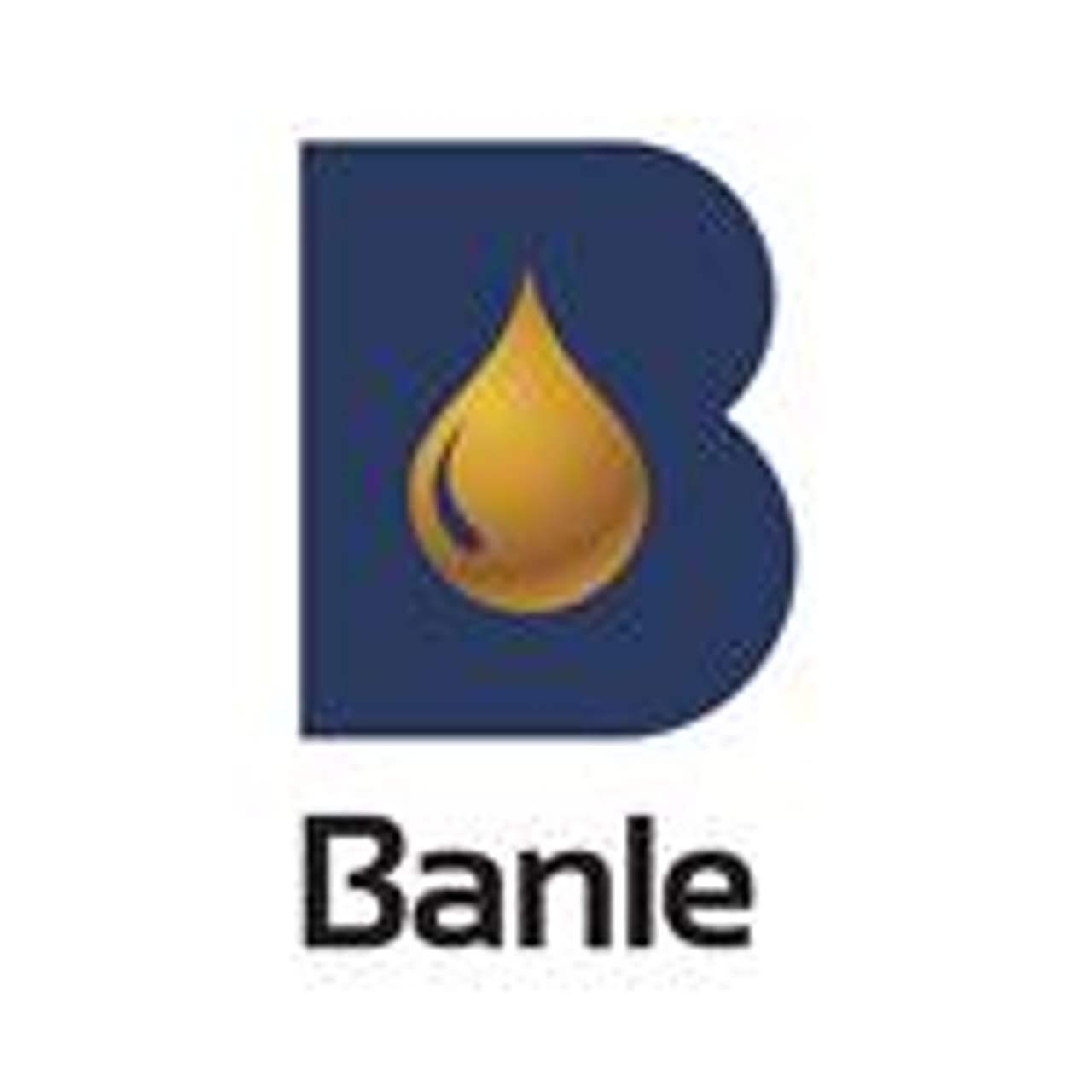 Banle Group Highlights Strategies for Sustainable Growth During Investor Webinar