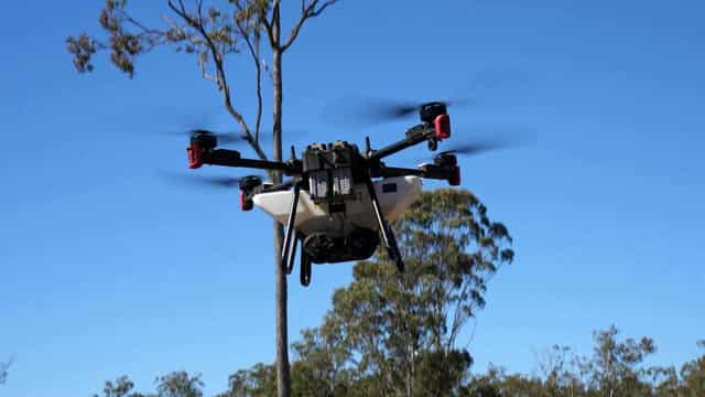 Drones hit the skies in must-win fire ant war