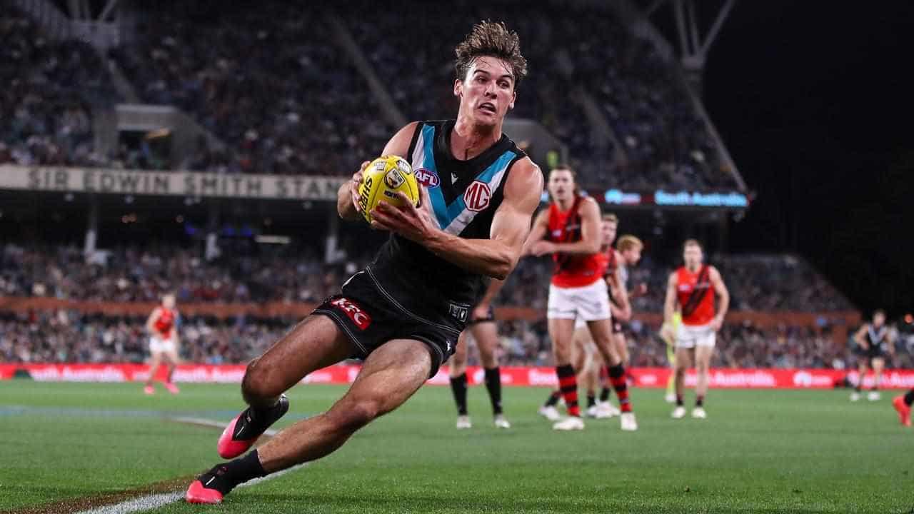 Port skipper Rozee set for Showdown after injury scare