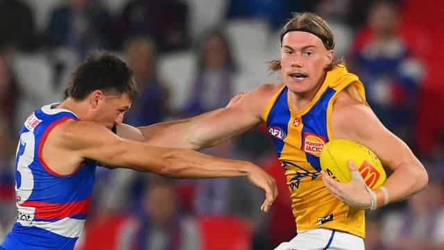 Bombers coach Scott marvels at 'special' Harley Reid