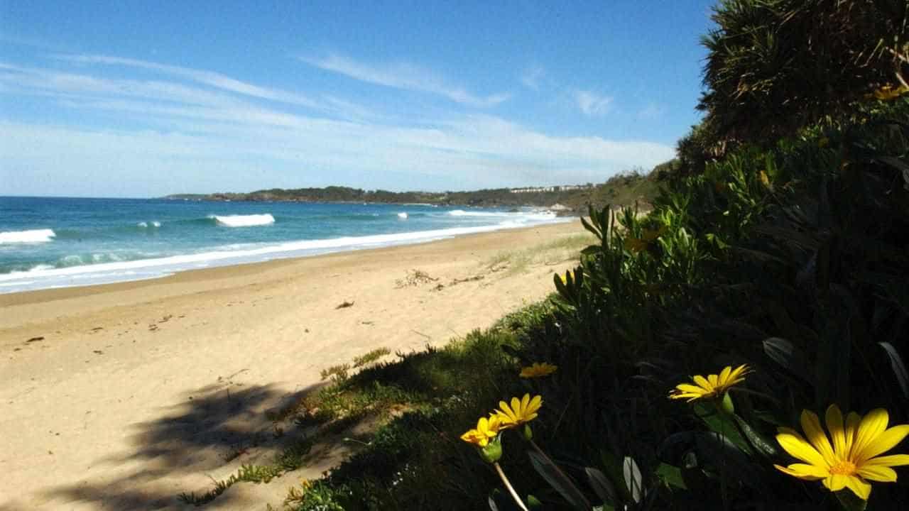 Surfer murder prompts calls for tough knife search laws