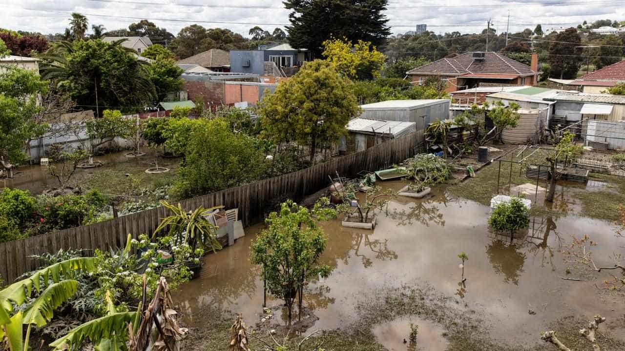 Racecourse wall plumbed new flood depths but won't go