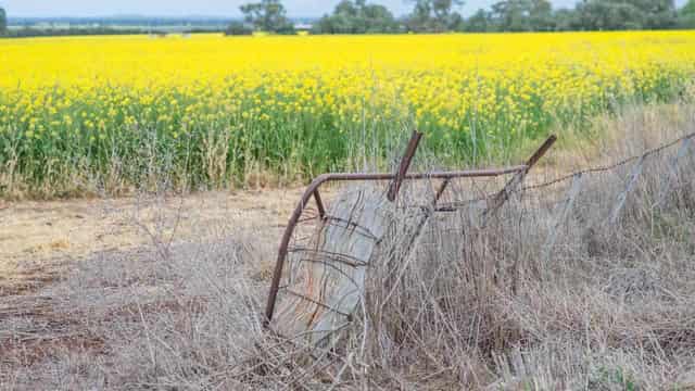 Unchecked urban sprawl is eating our food bowl