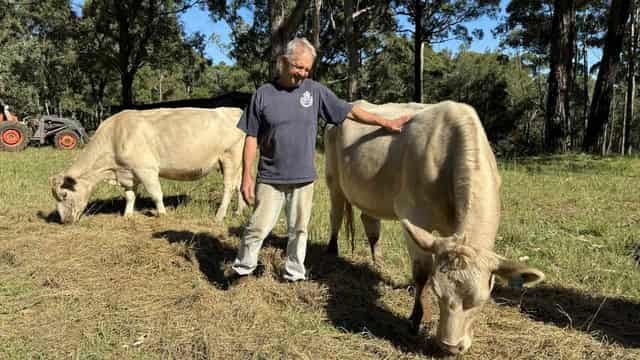 Hopes that tick research will lead to vaccine