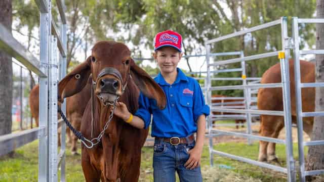 Sustainability and tech at the heart of beef event