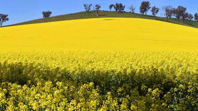 Price of Aussie farmland set for slower growth