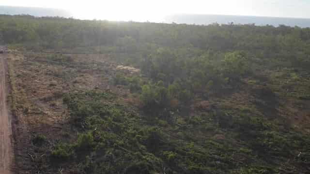 Allegations as controversial land-clearing stops