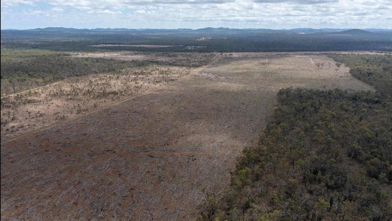 Not lovin' it: McDonald's, Coles fail on deforestation