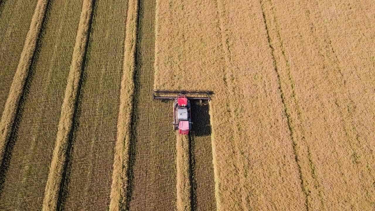 Graincorp half-year profit falls 75pc to $50 million