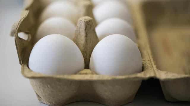 Bird flu cull leads to 450,000 fewer eggs per day