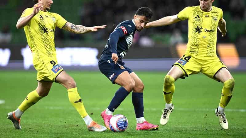 Matured Arzani ripe for second bite of Socceroos cherry