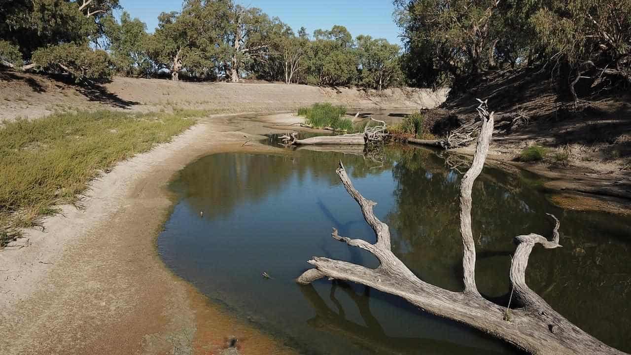 Murray Darling voices weigh-in on basin plan review