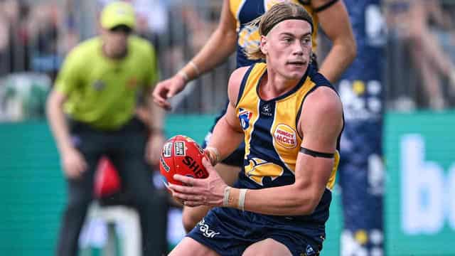 Eagles to argue length of Reid's ban at AFL tribunal