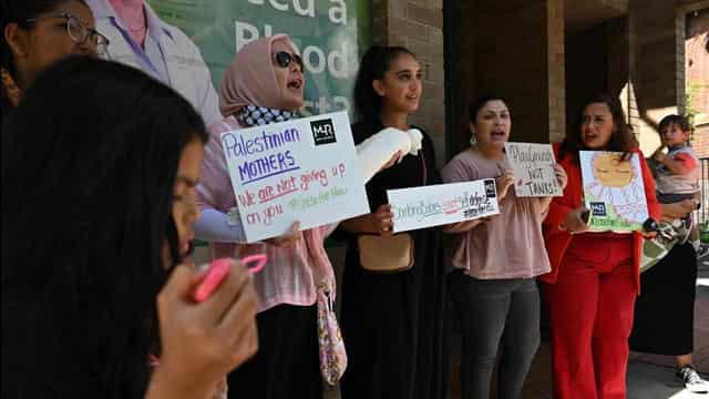 PM, Dutton condemn Greens on electorate office protests