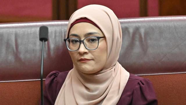 Senator who broke ranks on Palestine to speak at rally