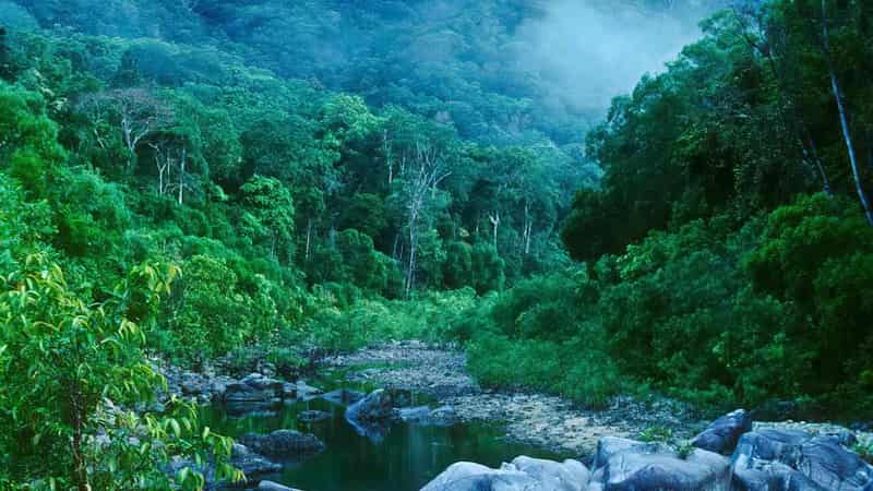 Cape York areas make World Heritage tentative list