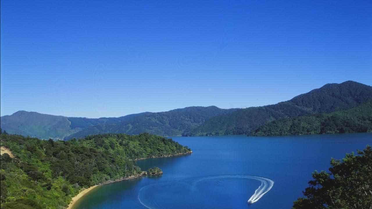 New Zealand's Interislander ferry runs aground