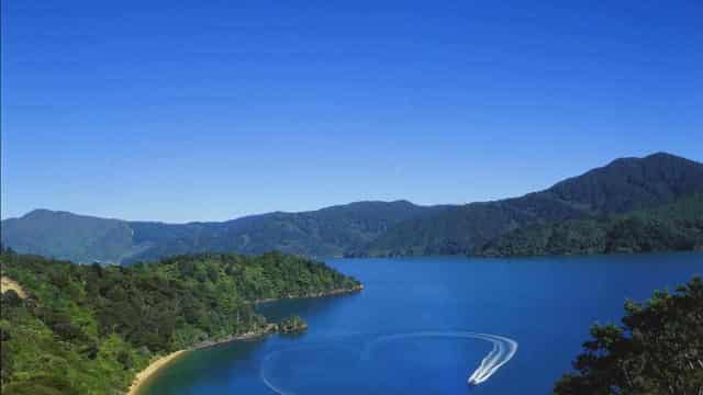 New Zealand's Interislander ferry runs aground