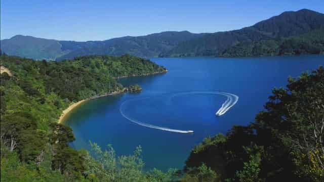 New Zealand ferry refloated after it ran aground