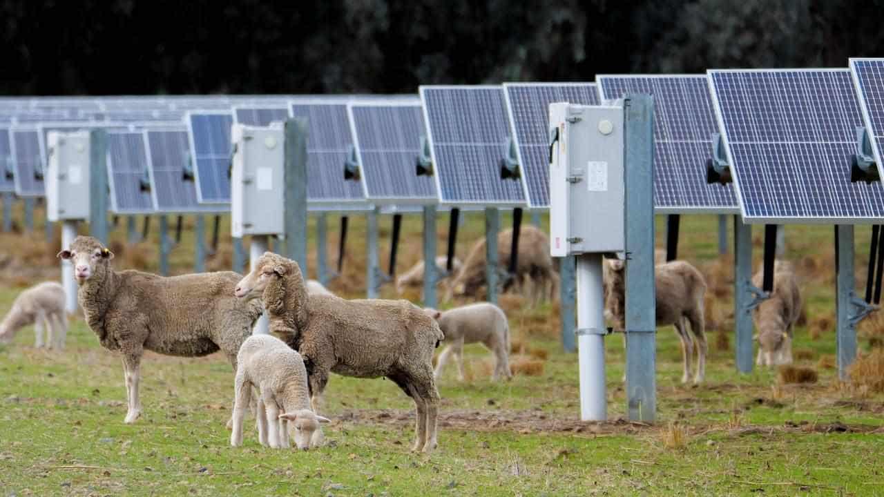 Solar panels paving the path to new recycling hub