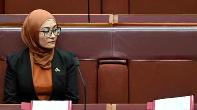 Vilification concern as senator iced for Palestine vote