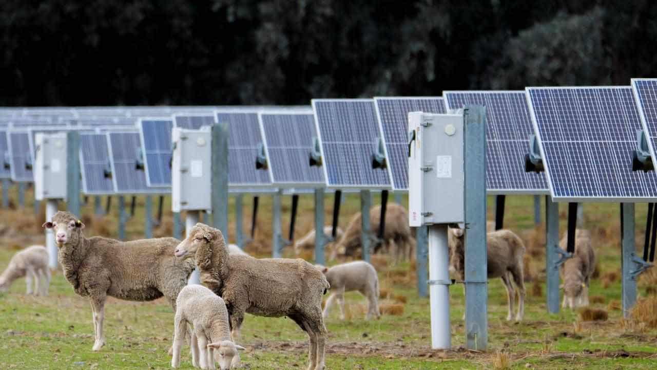 Farmers dig in on renewables as transition accelerates