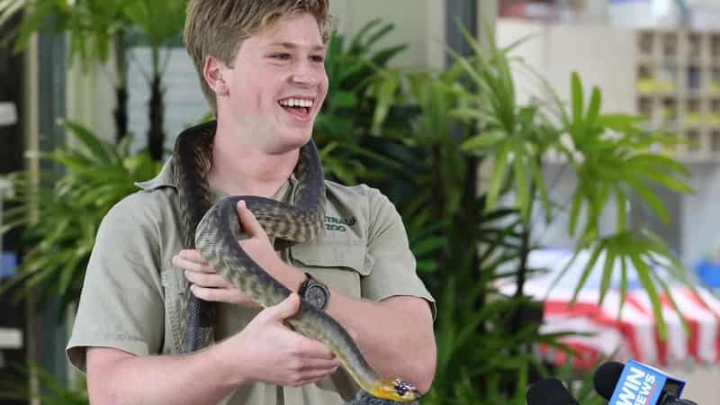 Fake photos of Robert Irwin's 'arrest' appear in Facebook scam