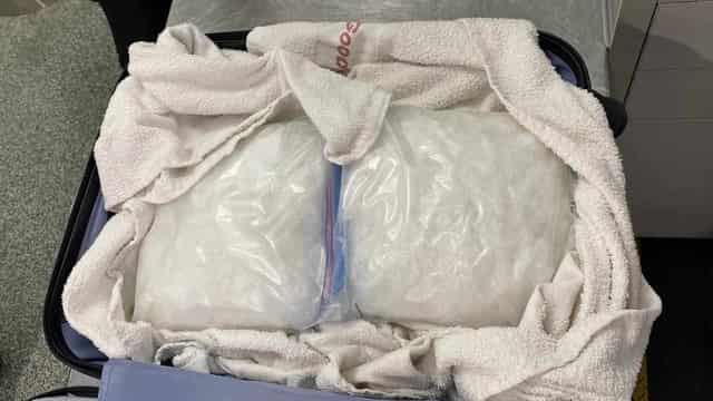 Airport sniffer dog detects meth haul worth millions