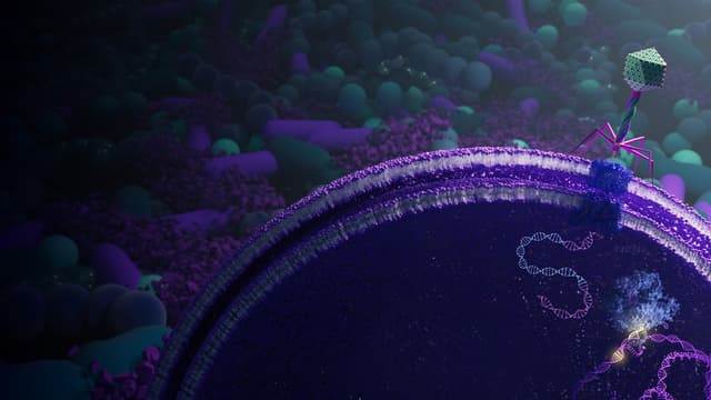 Eligo Publishes in Nature a Landmark Study That Unlocks Genome Editing of Bacteria in the Gut