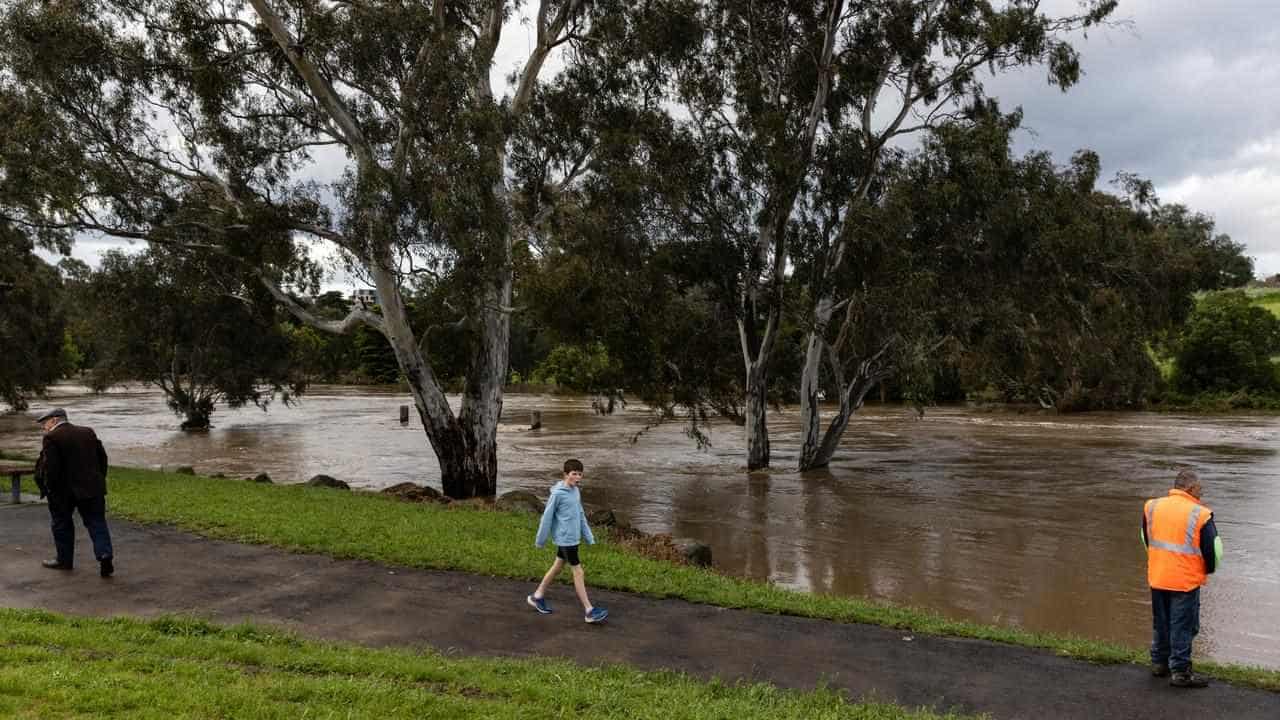 Homicide probe after woman's body found in river