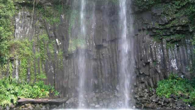 Two swimmers found dead at popular Queensland waterfall